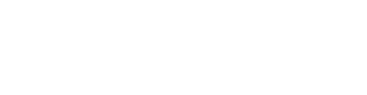 Pindora logo valkoisena